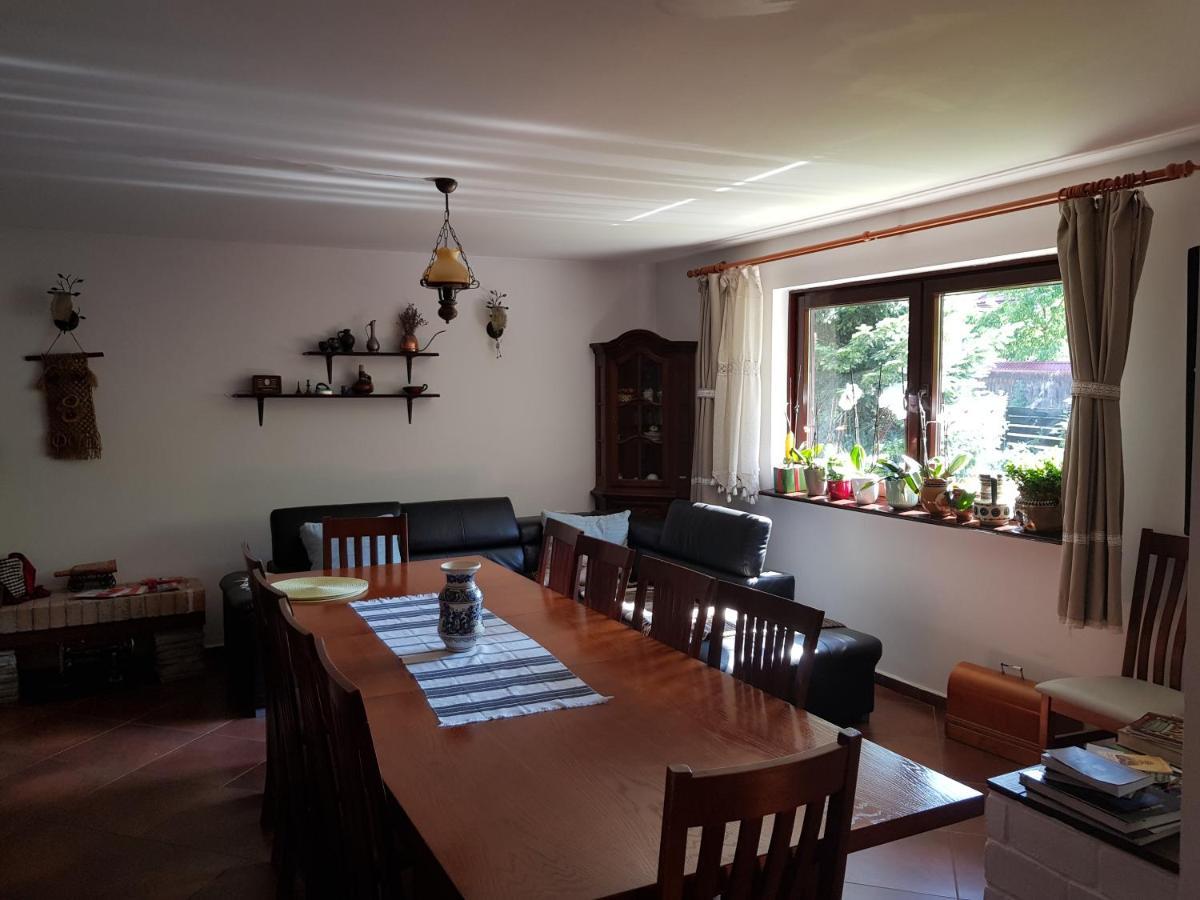 Pensiunea Daria Putna Kültér fotó